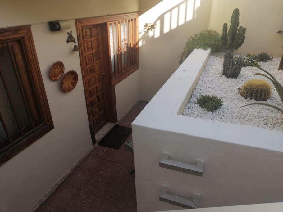 Casa Las Pencas De Margarita Los Realejos Extérieur photo